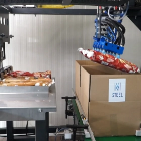 AUTOMATYCZNA PAKOWARKA KARTONOWA(CASTE PACKER)
