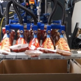 AUTOMATYCZNA PAKOWARKA KARTONOWA(CASTE PACKER)